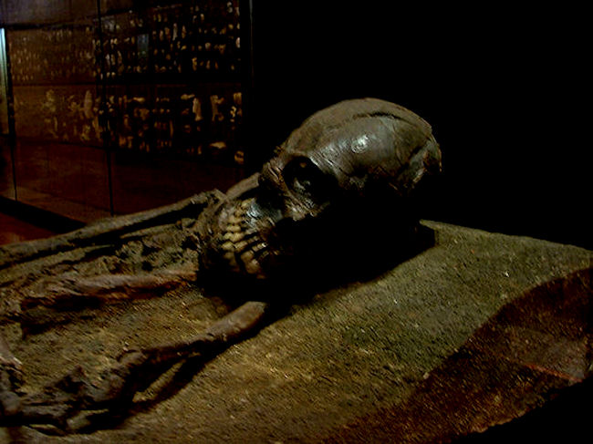 Dordogne Museums